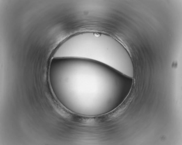 X0000092080301200709121111