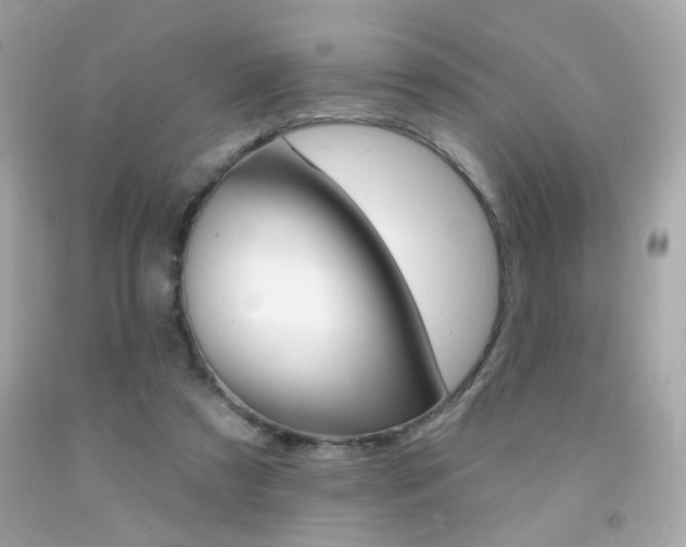 X0000092080305200709121111