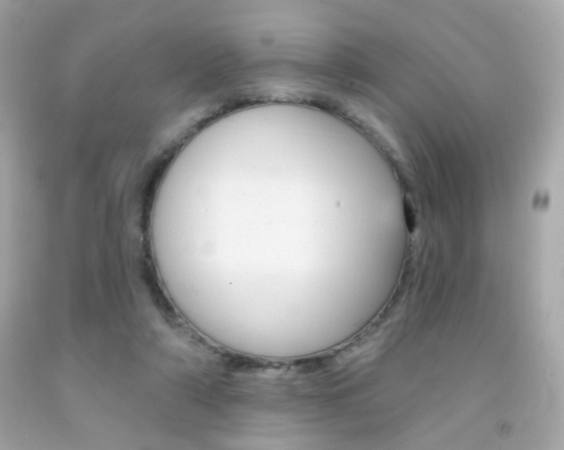 X0000092080306200709121111