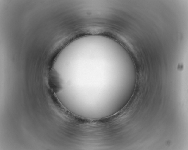 X0000092080307200709121111