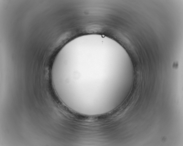 X0000092080308200709121111