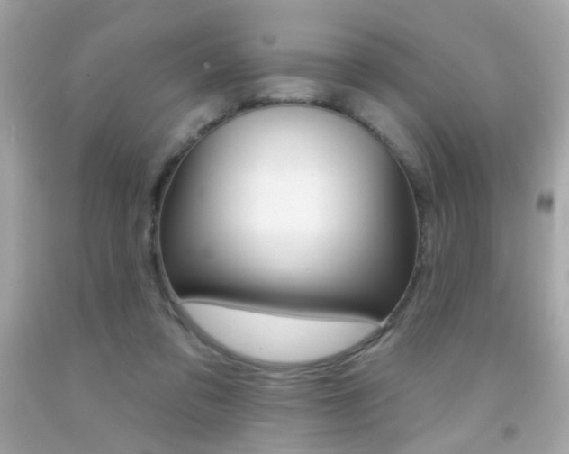 X0000092080309200709121111