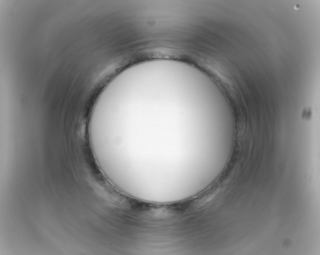 X0000092080310200709121111