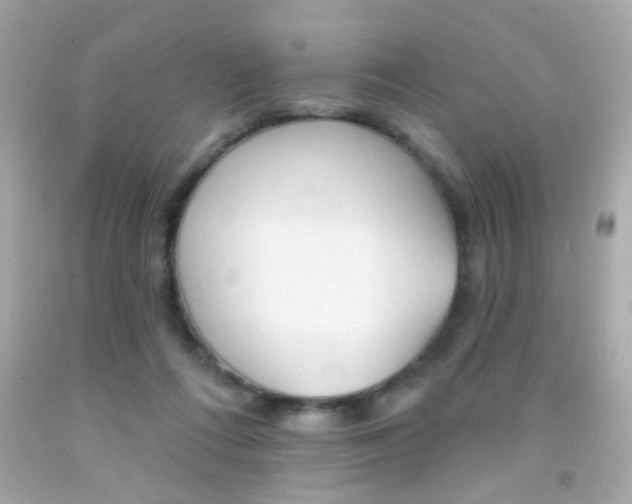 X0000092080312200709121111