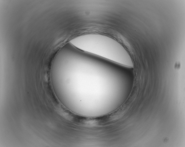 X0000092080313200709121111