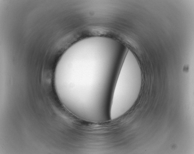 X0000092080315200709121111