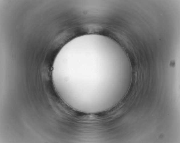 X0000092080316200709121111