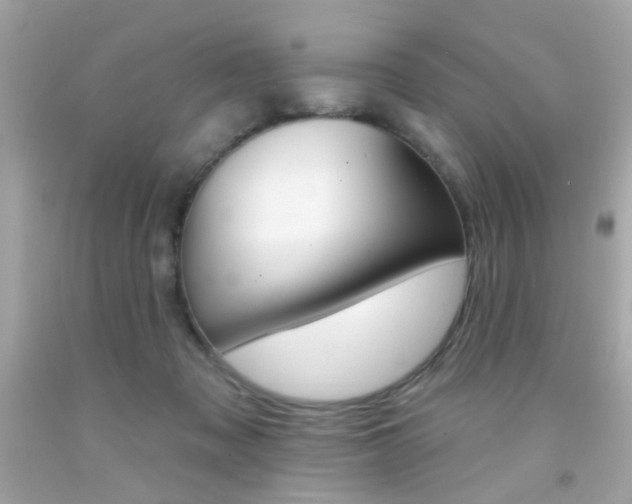 X0000092080317200709121111