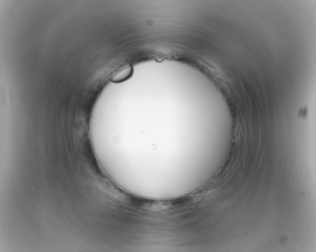 X0000092080318200709121111