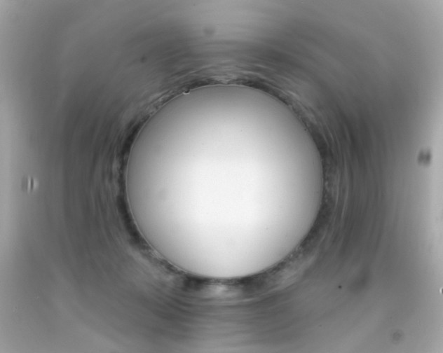 X0000092080319200709121111