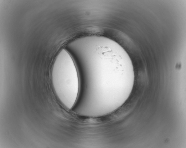X0000092080320200709121111