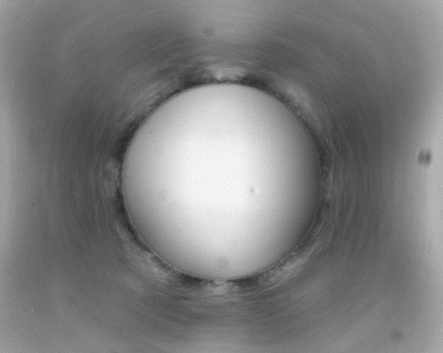 X0000092080321200709121111