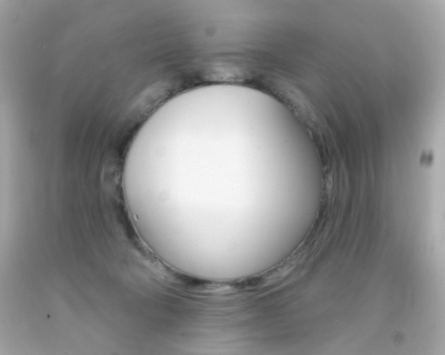 X0000092080322200709121111