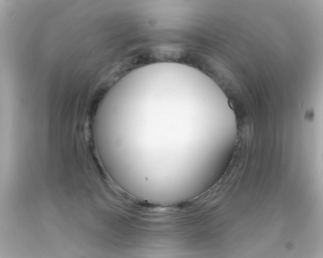 X0000092080323200709121111