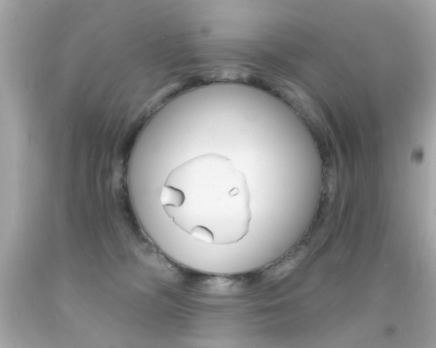 X0000092080326200709121111