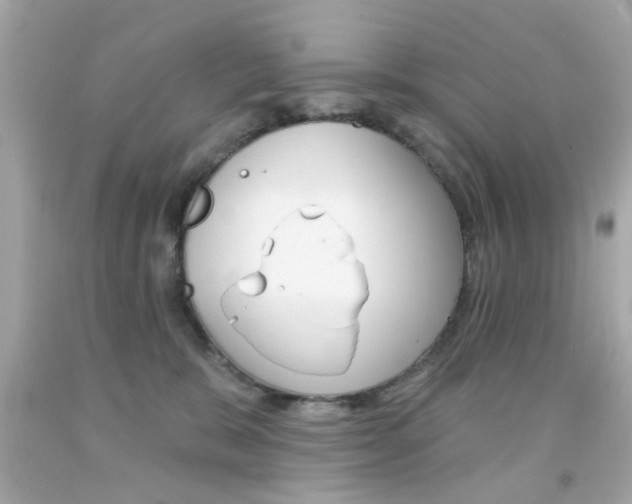 X0000092080327200709121111