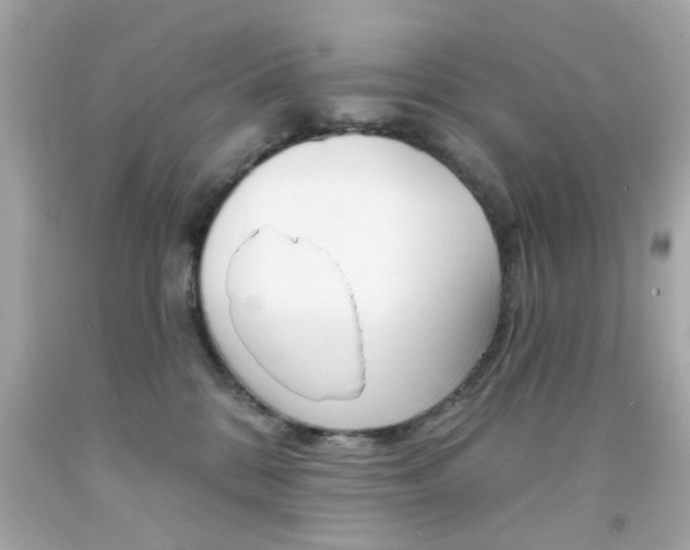 X0000092080328200709121111