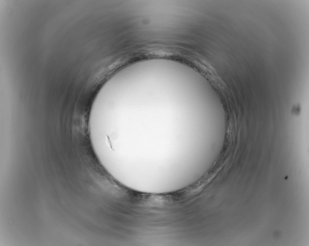 X0000092080330200709121111