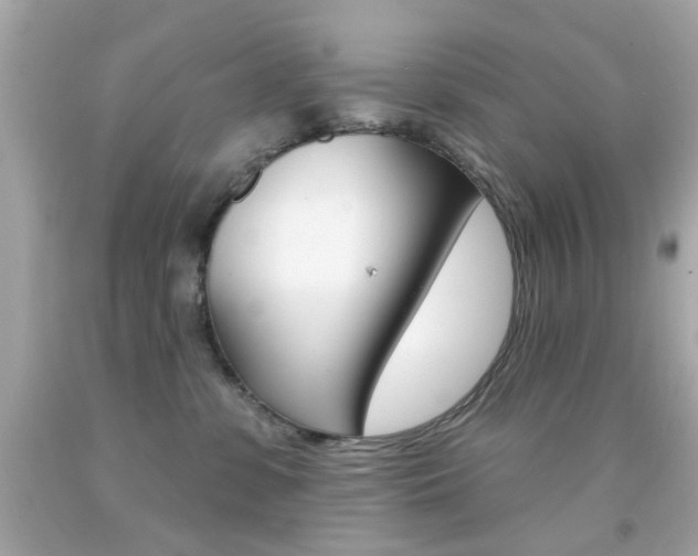 X0000092080331200709121111