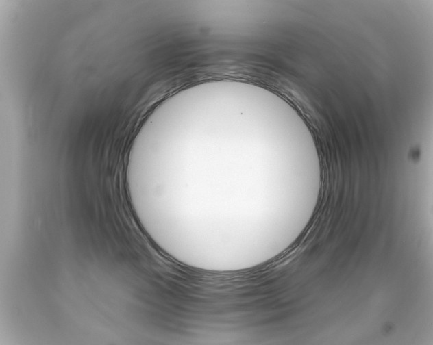 X0000092080333200709121110