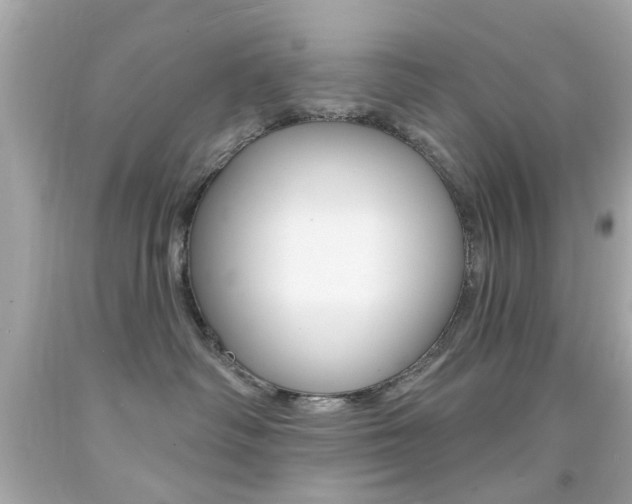X0000092080334200709121110