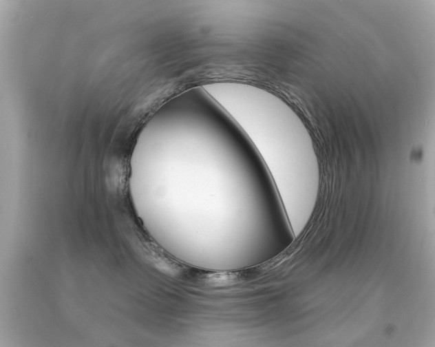 X0000092080335200709121110