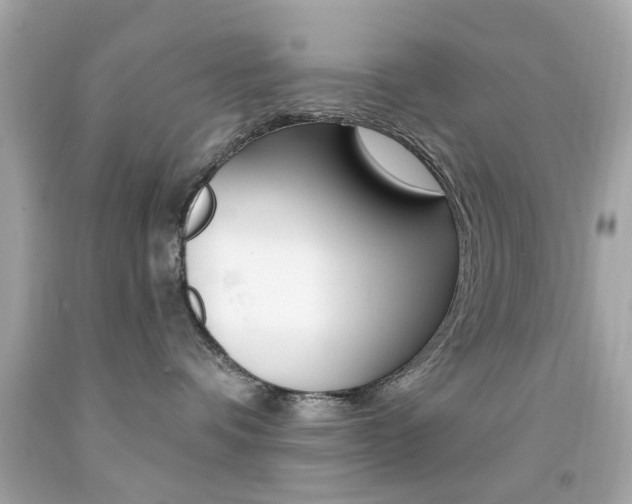 X0000092080336200709121110