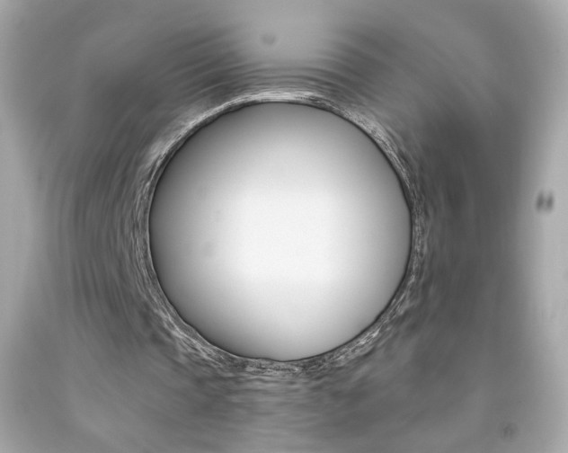 X0000092080337200709121110