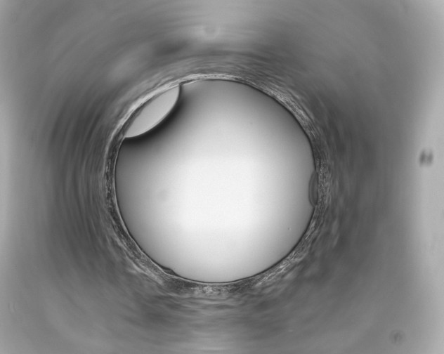 X0000092080338200709121110