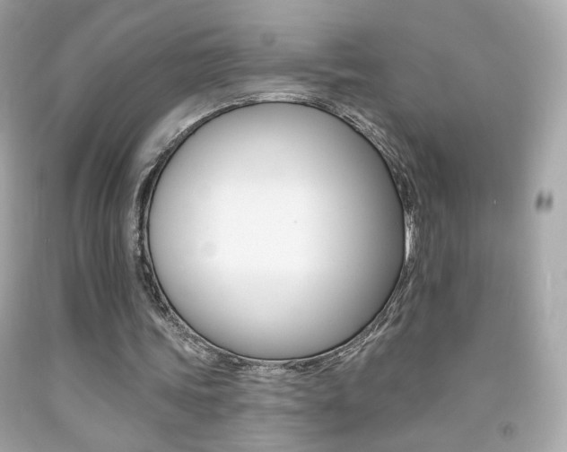X0000092080339200709121110
