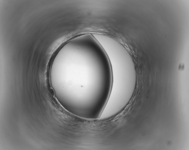 X0000092080340200709121110