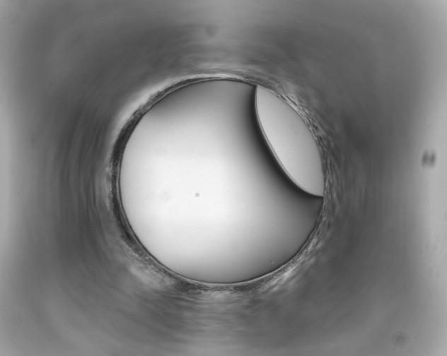 X0000092080342200709121110