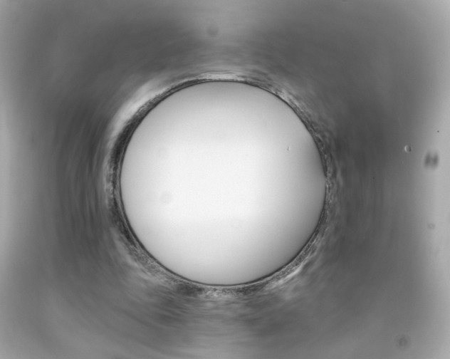 X0000092080343200709121110