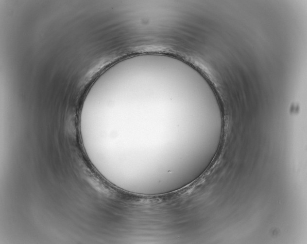 X0000092080345200709121110
