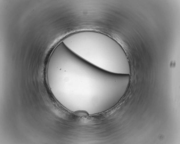 X0000092080346200709121110