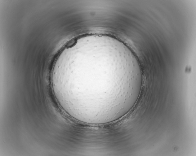 X0000092080347200709121110