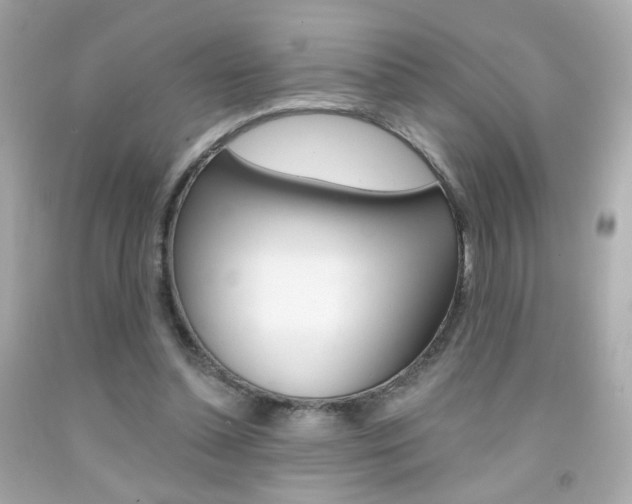 X0000092080348200709121110