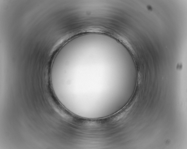 X0000092080349200709121110