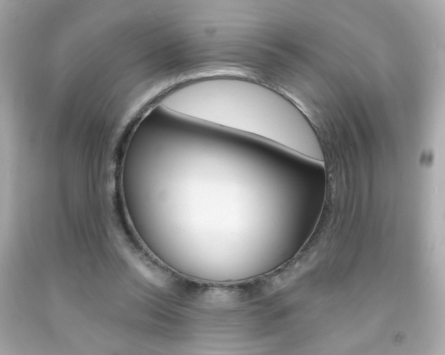 X0000092080350200709121110
