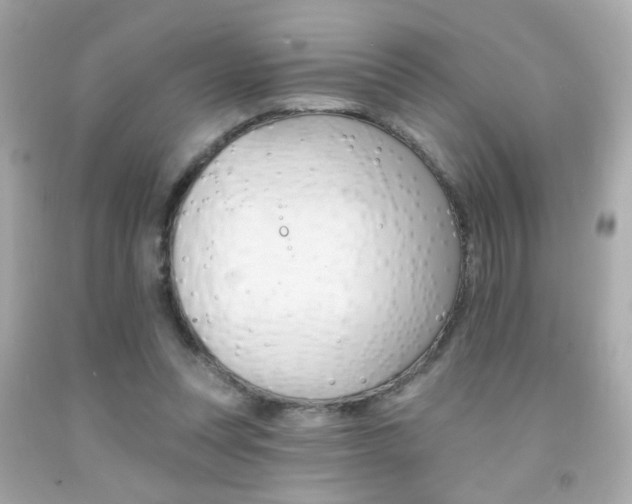 X0000092080351200709121110