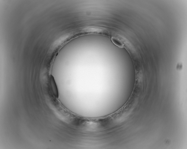 X0000092080352200709121110