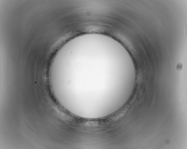 X0000092080353200709121110