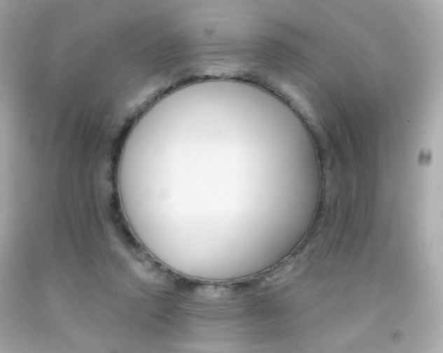X0000092080354200709121110