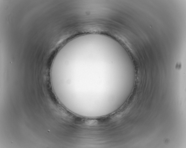 X0000092080355200709121110