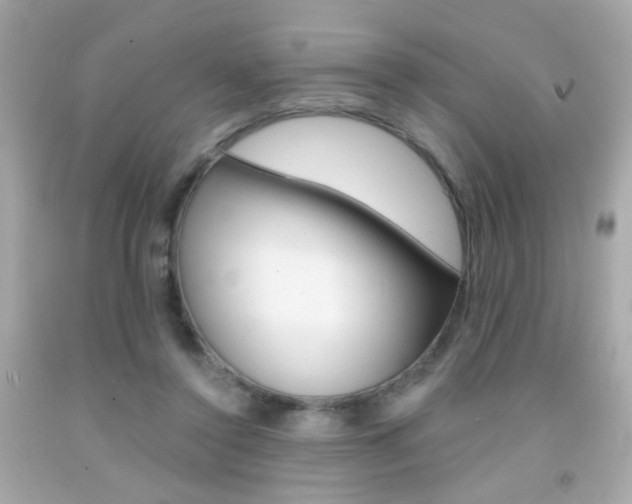 X0000092080356200709121110
