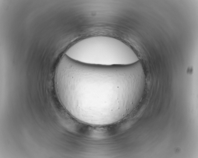 X0000092080359200709121110