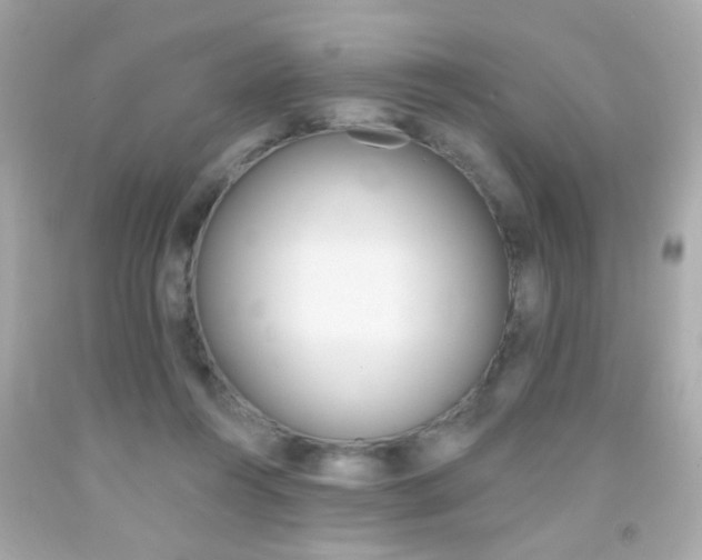 X0000092080360200709121110