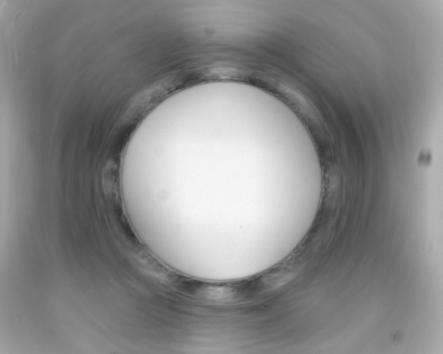 X0000092080361200709121110