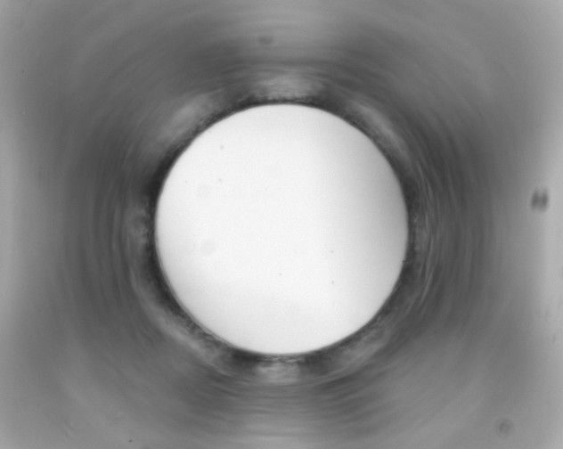 X0000092080362200709121110