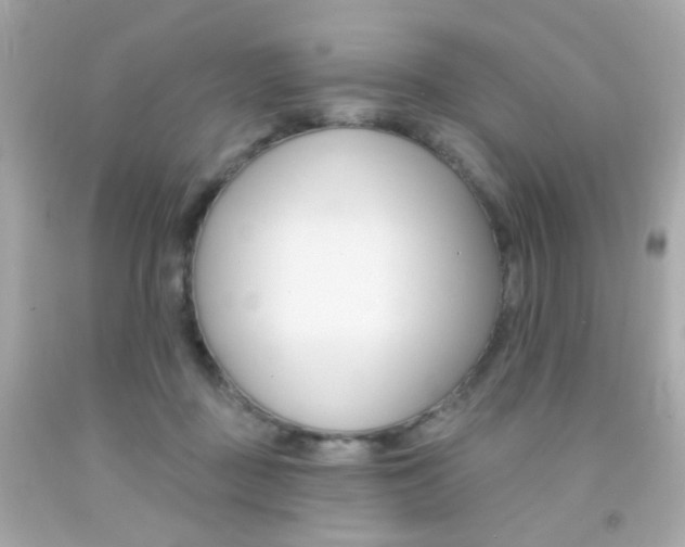 X0000092080363200709121110